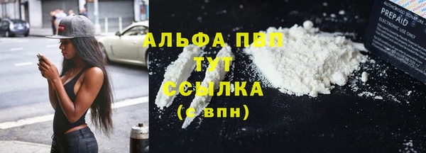 мдпв Каменногорск