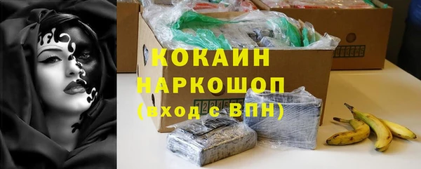 мдпв Каменногорск