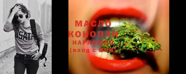 мдпв Каменногорск