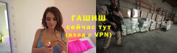 мдпв Каменногорск