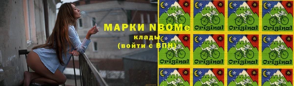 мдпв Каменногорск