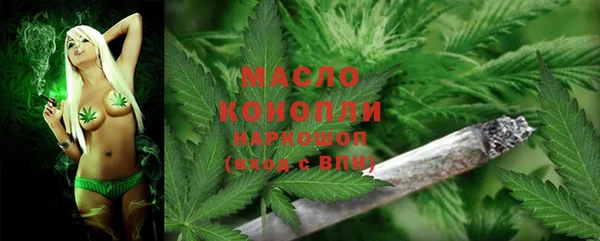 мдпв Каменногорск